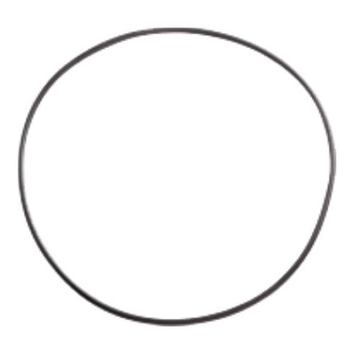 Pump Seal Plate O-ring Series 2