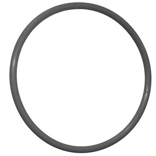 MPV Lid O-ring Series 1