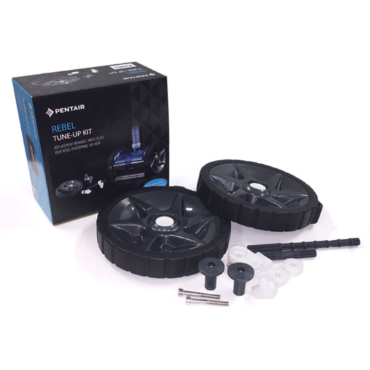 Dominator Pro Tune Up Kit Pentair