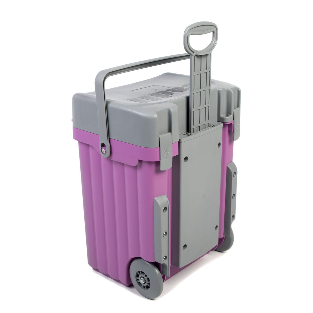 Cadii School Bag - Lilac & Grey