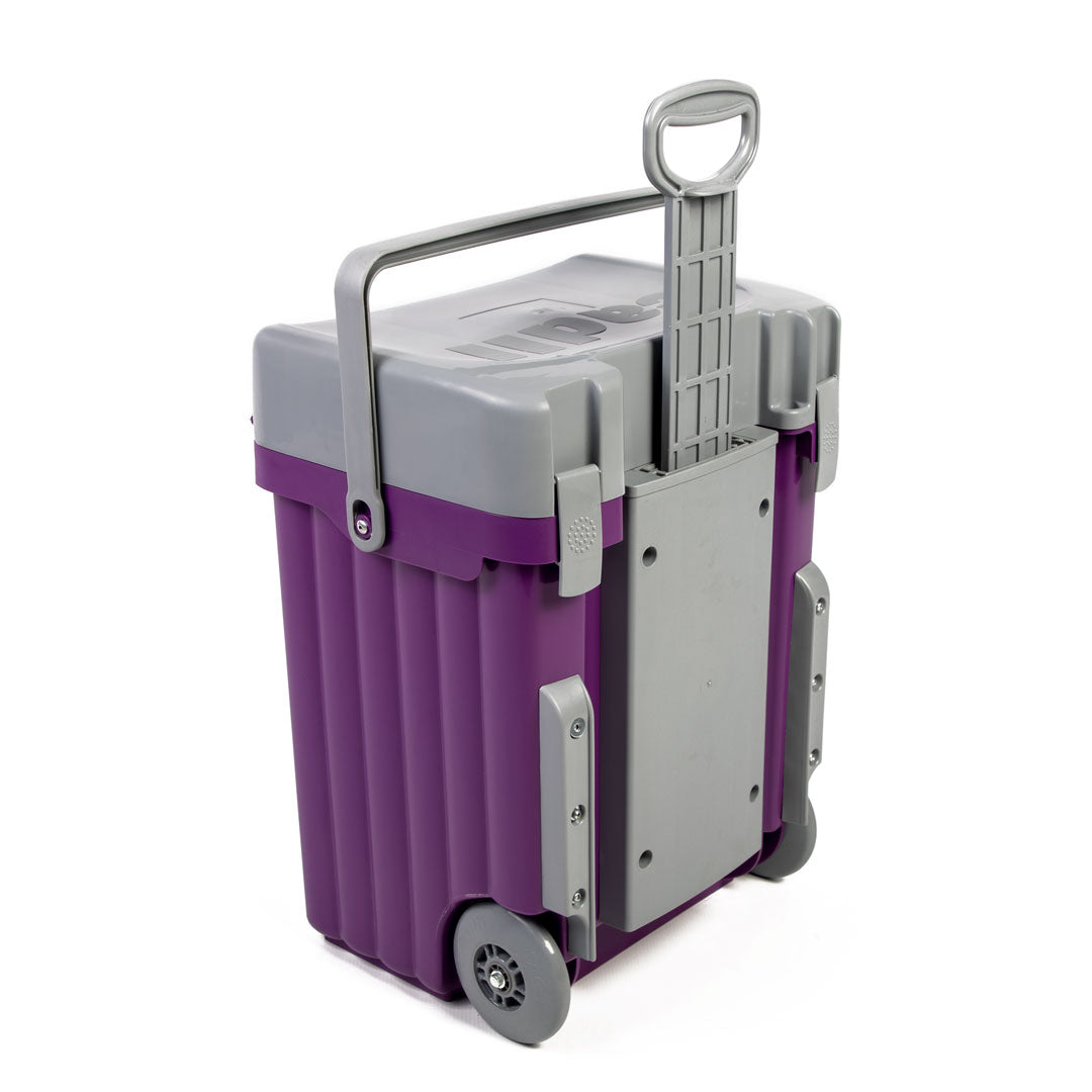 Cadii School Bag - Purple & Grey